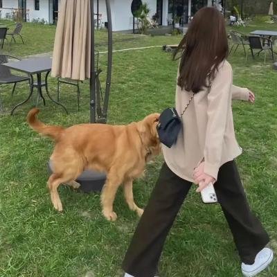 独立军